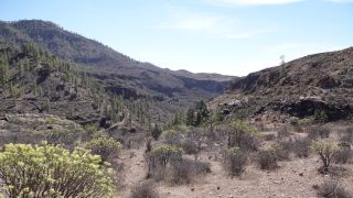 2022-03-GranCan-Presa_Chira-Trekking-PM-NN-58.JPG